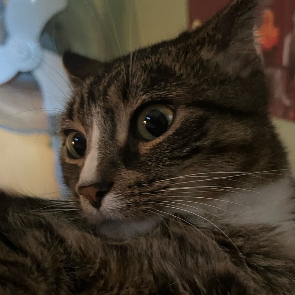 Meet your Posher, Ellie